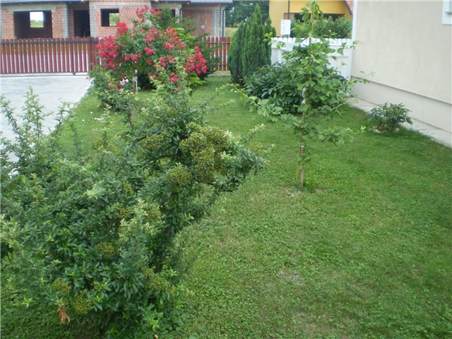 moje dvorište